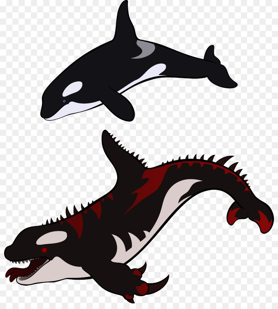 Épaulard，Requin PNG