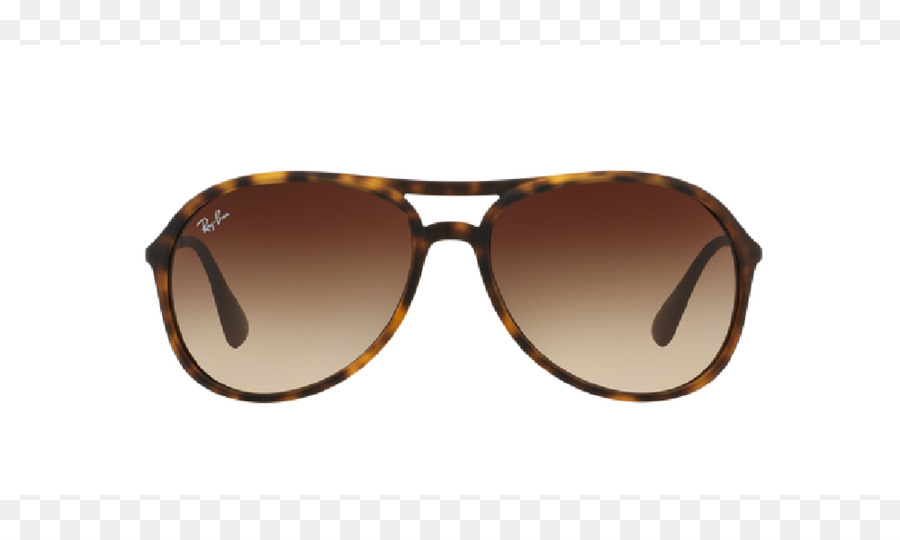 Ray Ban，Ray Ban Erika Classique PNG