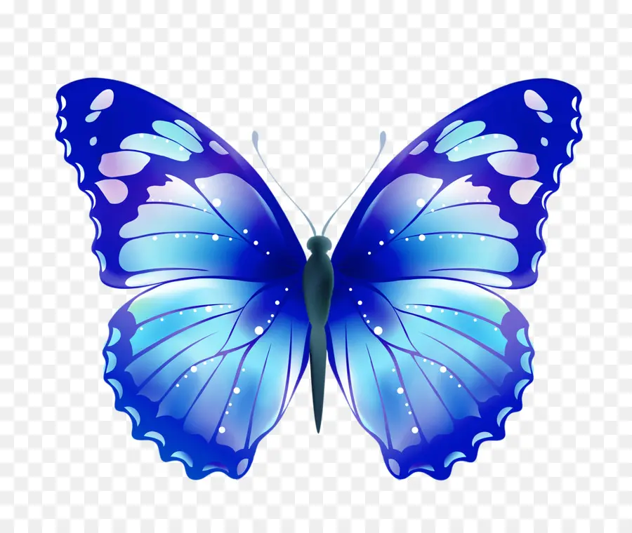 Papillon Bleu，Ailes PNG