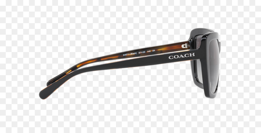 Lunettes De Soleil，Hutte De Sunglass PNG