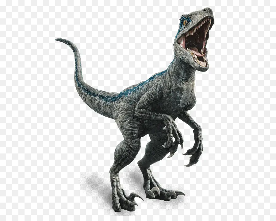 Velociraptor，Owen PNG
