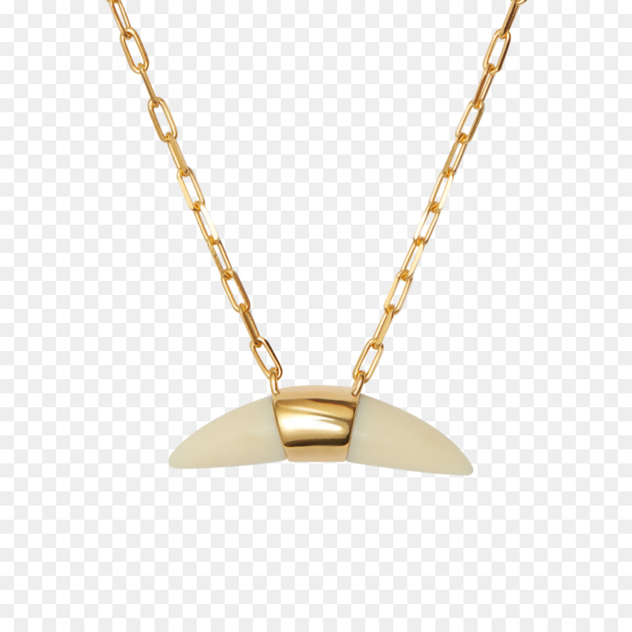 Médaillon，Collier PNG