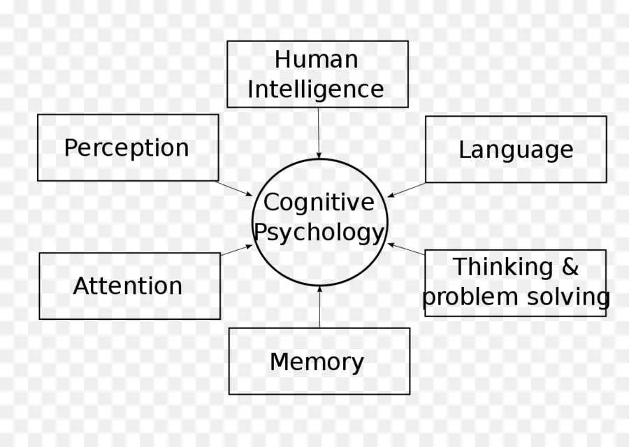 Psychologie Cognitive，Intelligence PNG