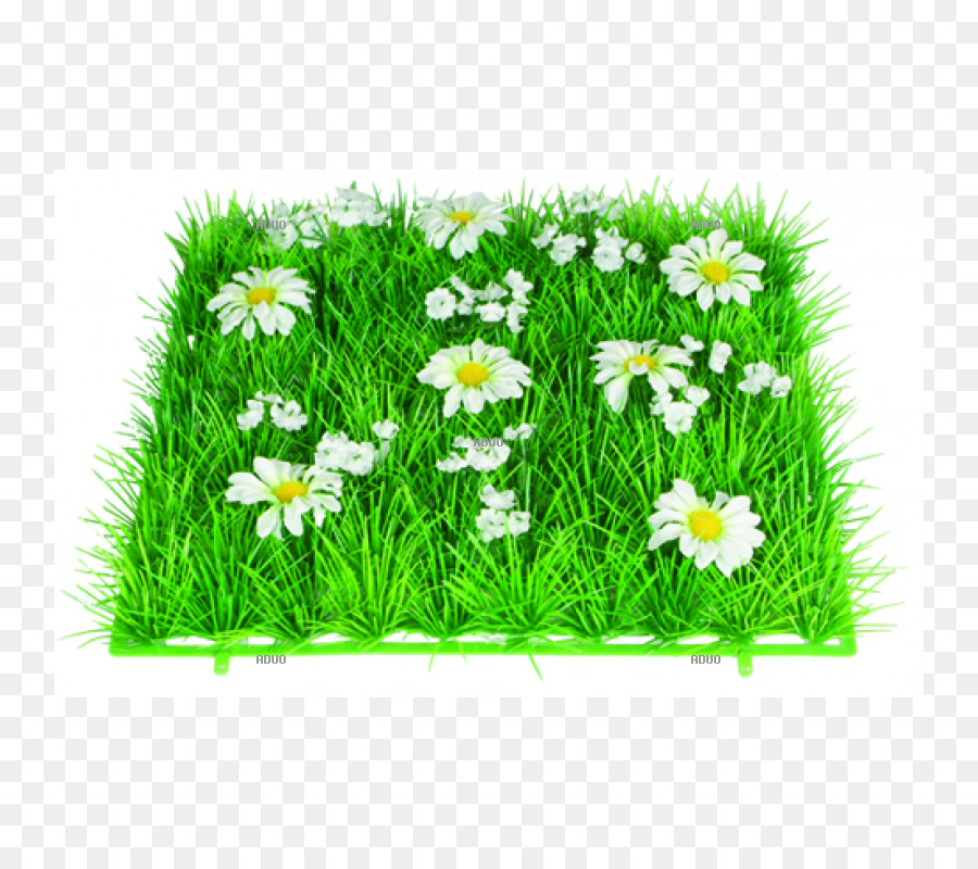 Gazon Artificiel，Fleurs PNG