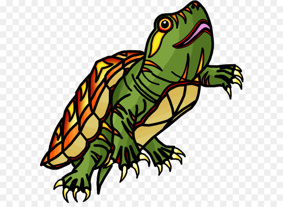 Tortue，Reptile PNG