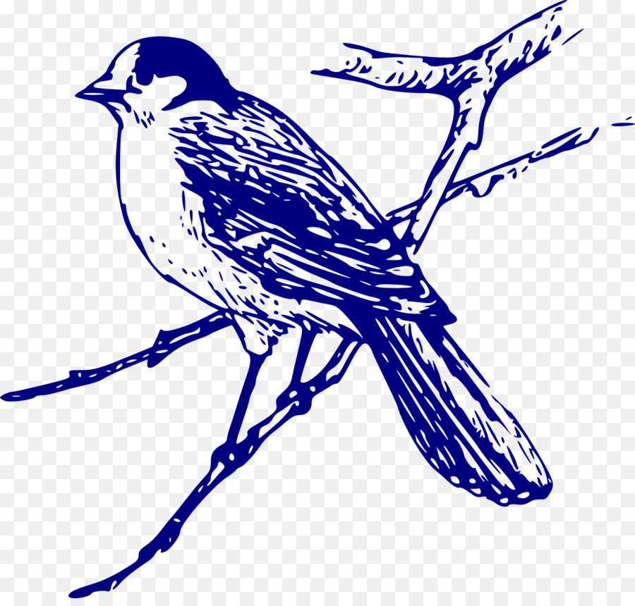 Oiseau，Ordinateur Icônes PNG