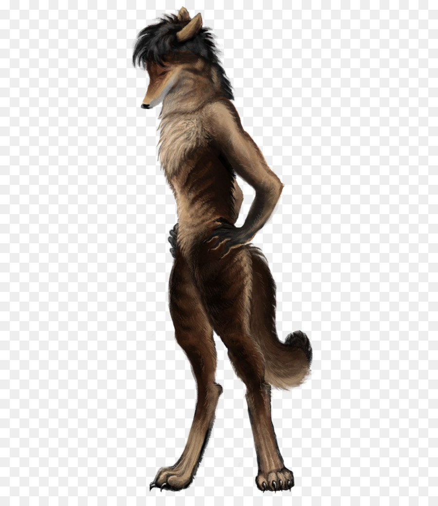 Chien，Loup Garou PNG