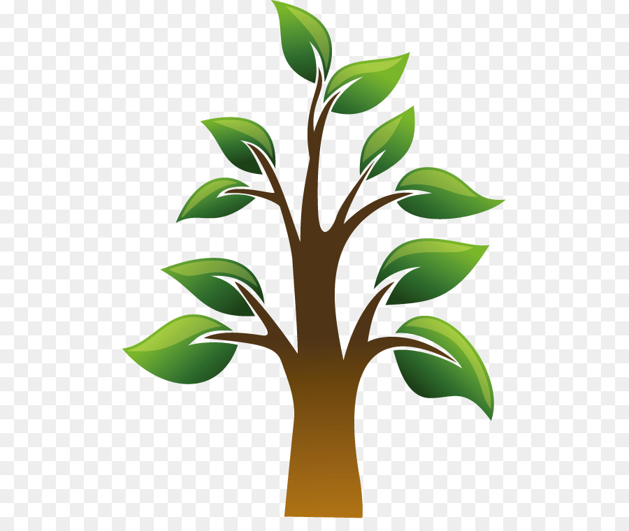 Arbre，Feuilles PNG