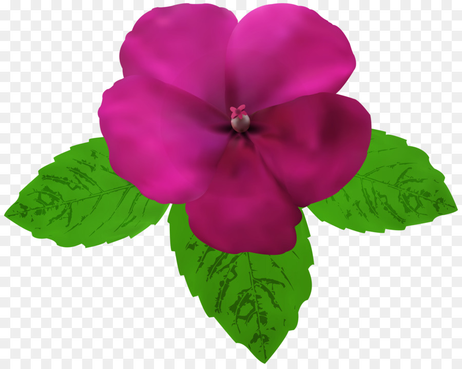 Fleur Rose，Feuilles PNG