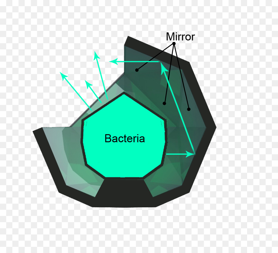 Diagramme Des Bactéries，Bactéries PNG