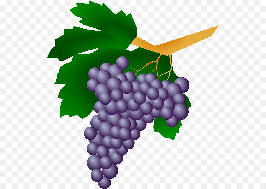 Vin，Raisin PNG