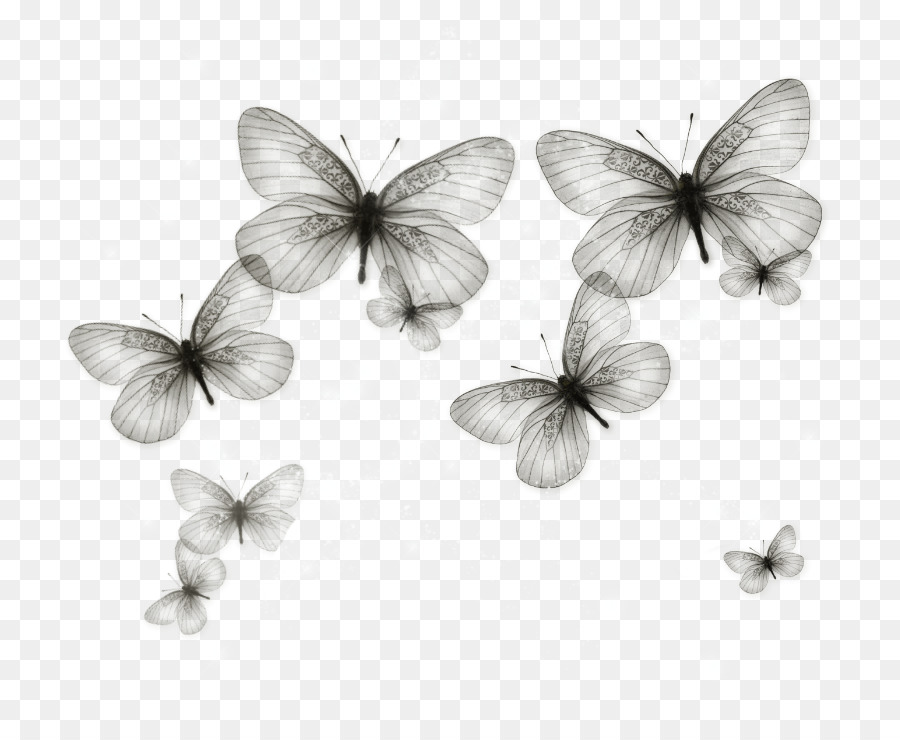 Papillons，Ailes PNG