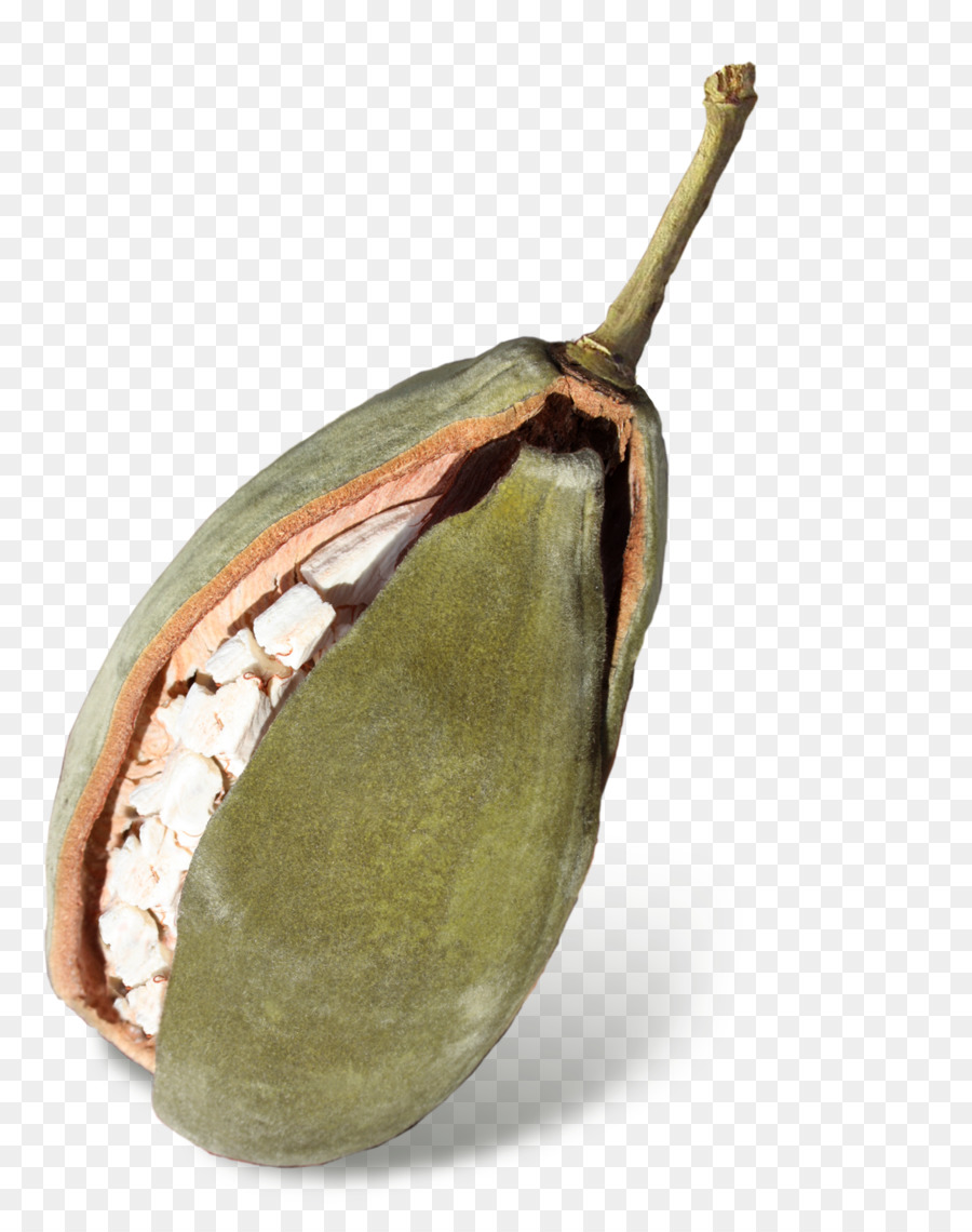 Fruits De Baobab，Fruit PNG