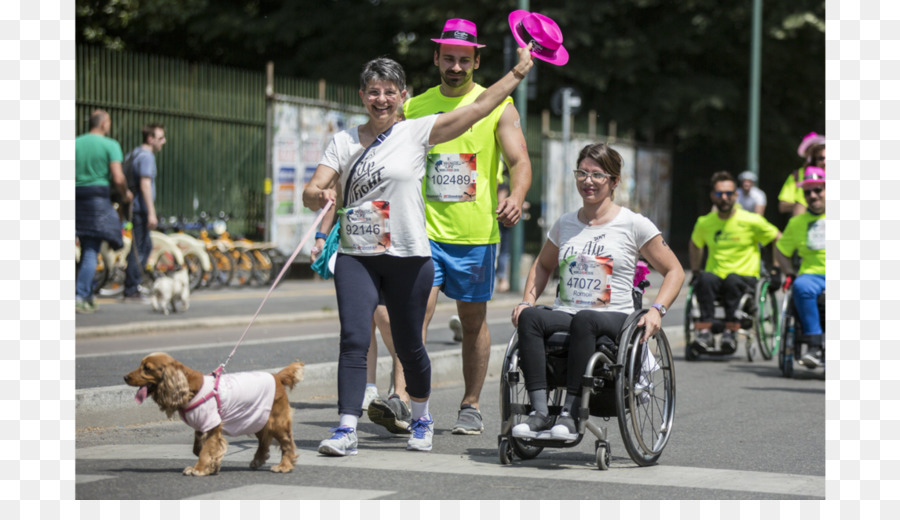 Distance De Course，Fauteuil Roulant PNG