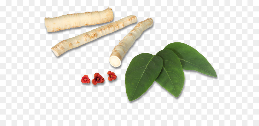 Tamarin，Les Aliments Naturels PNG