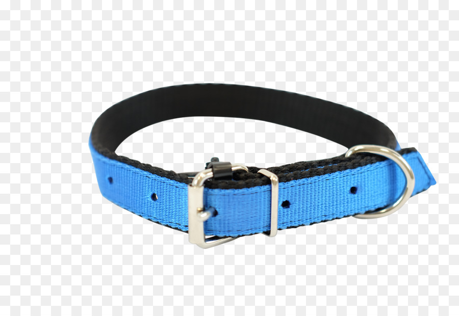 Ceinture Bleue，Accessoire PNG