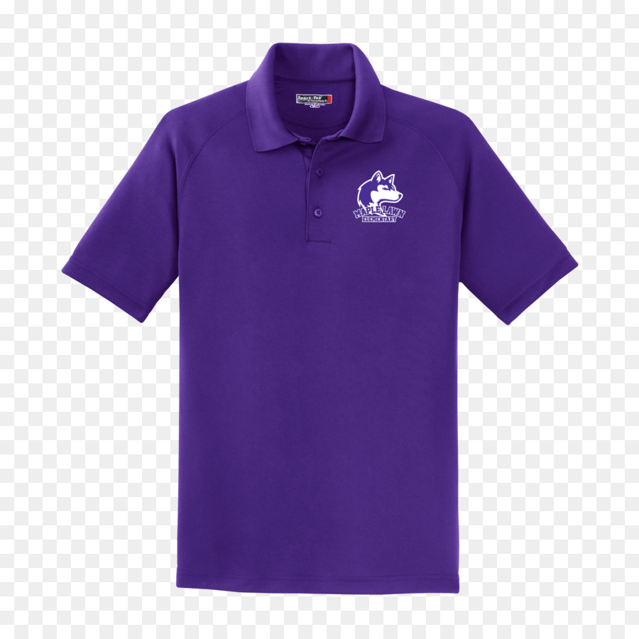 T Shirt，Chemise Polo PNG