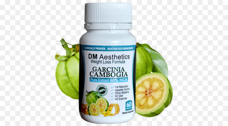 Garcinia Cambogia，L Esthétique PNG