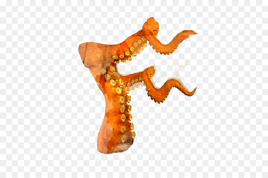 Animal，Orange PNG