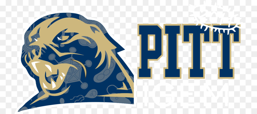 L Université De Pittsburgh，Football Panthers De Pittsburgh PNG