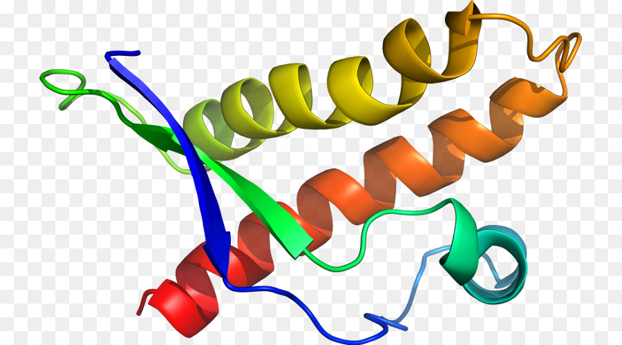 Hélice Protéique，Molécule PNG