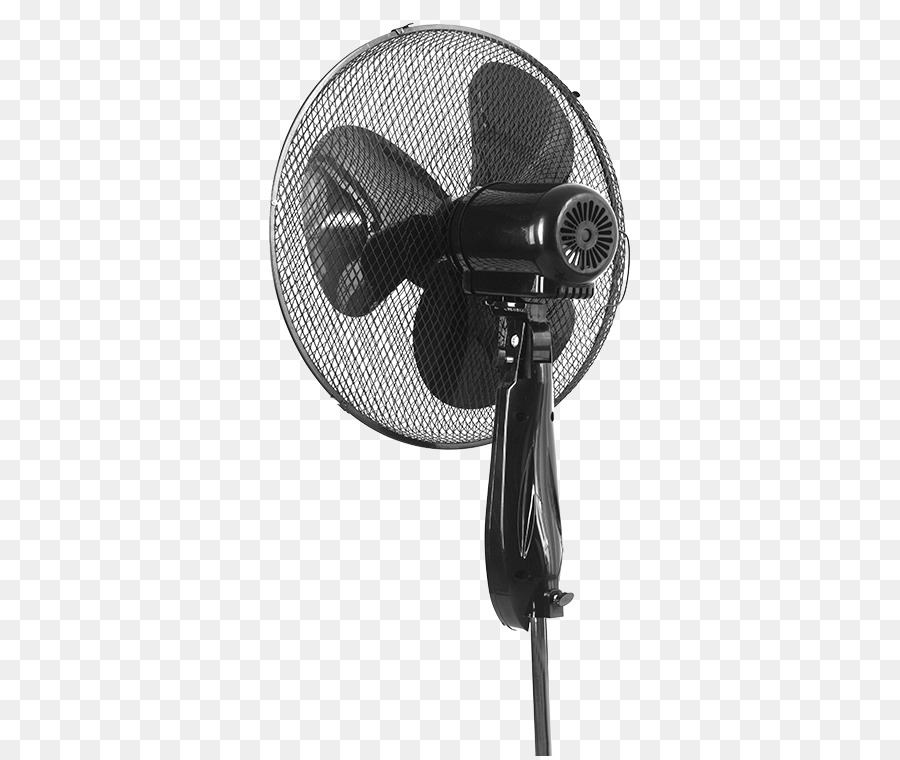 Fan，45r PNG