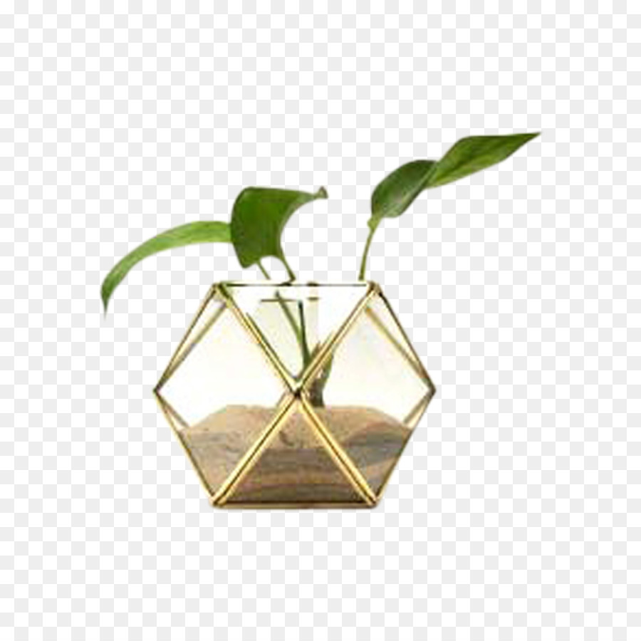 Plante Dans Un Vase Géométrique，Usine PNG