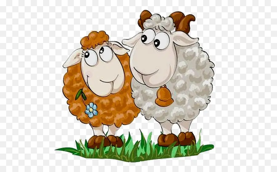 Couple De Moutons，Dessin Animé PNG