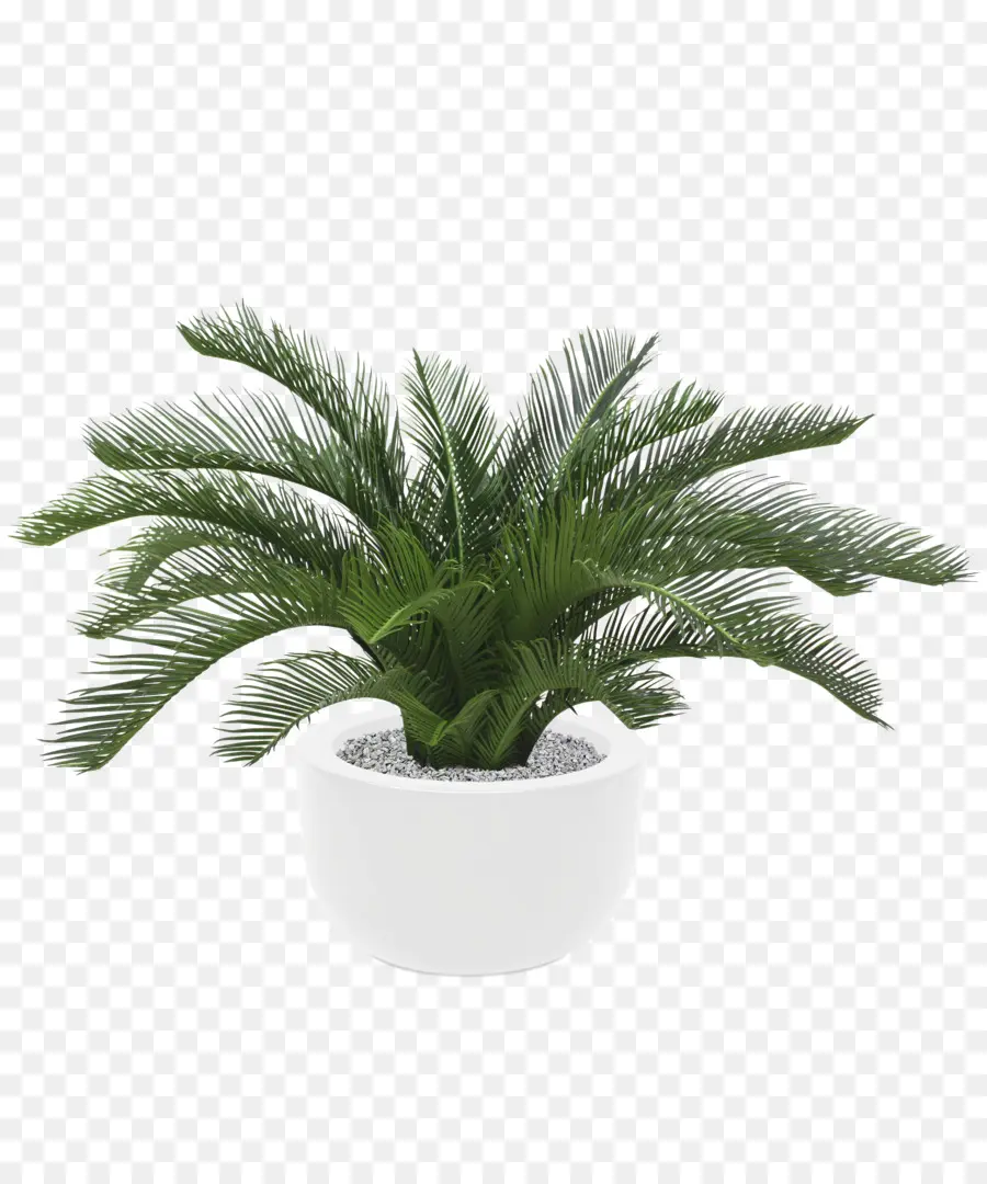 Plante Verte，Vase PNG