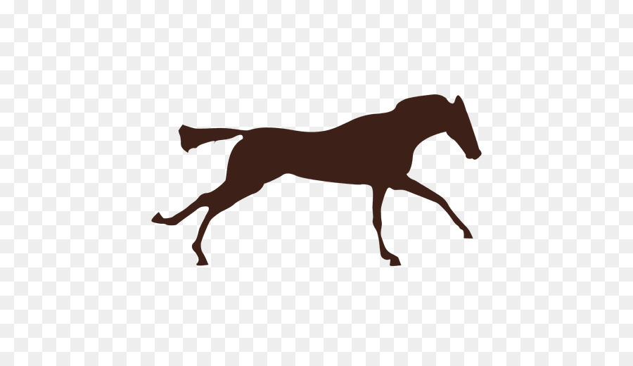 Mustang，Galop PNG