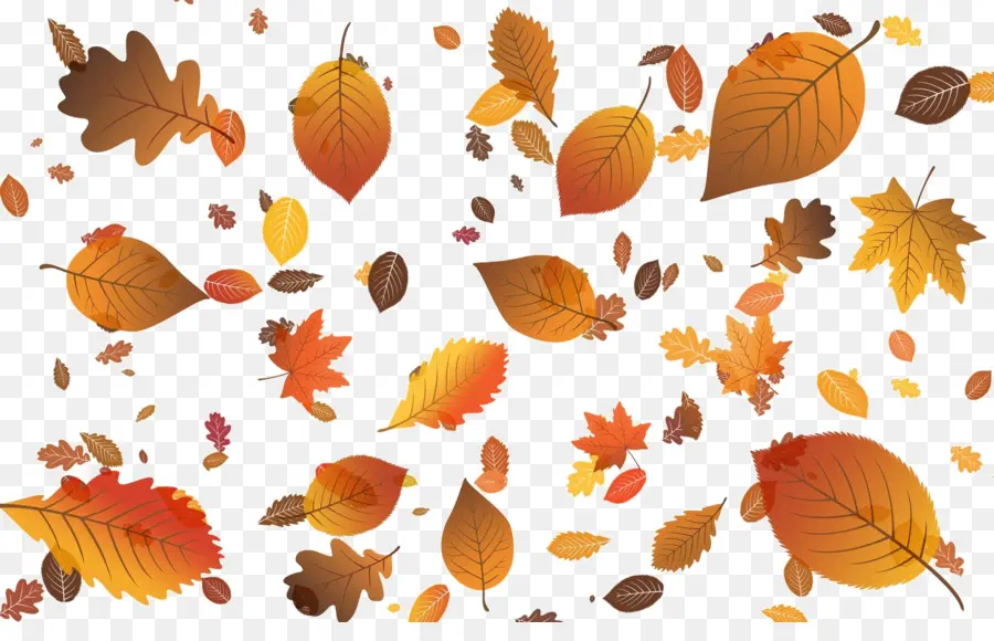 Feuilles D'automne，Automne PNG