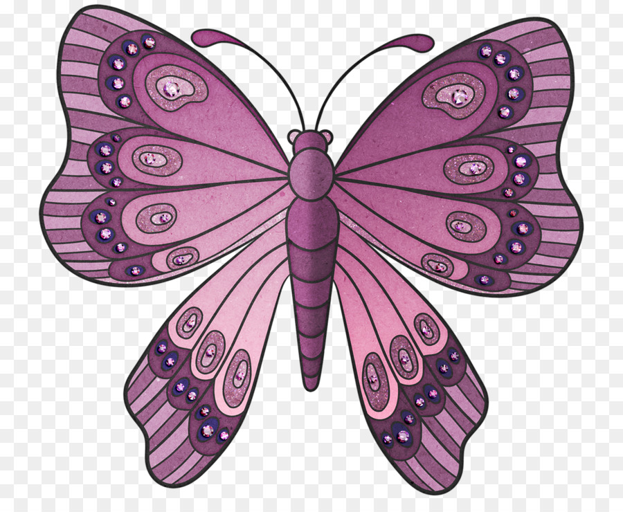 Papillon，Ailes PNG