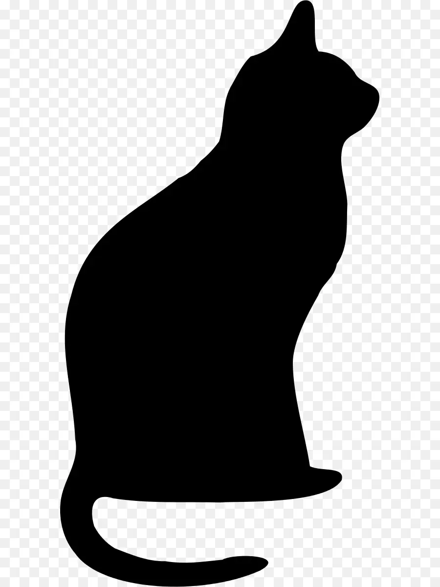 Chat，Silhouette PNG