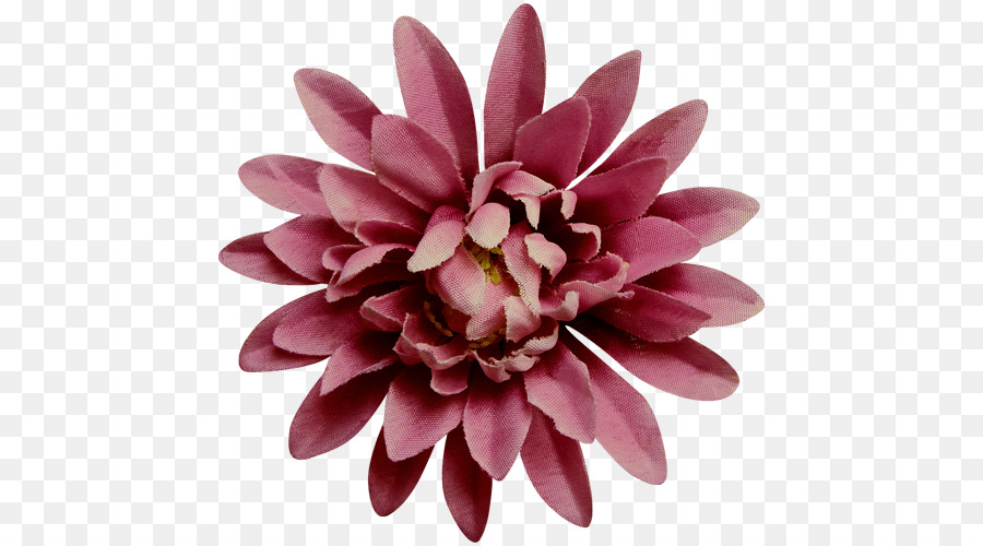 Fleur，Fleurir PNG