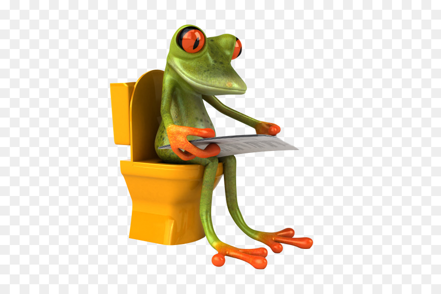 Grenouille，Toilettes PNG