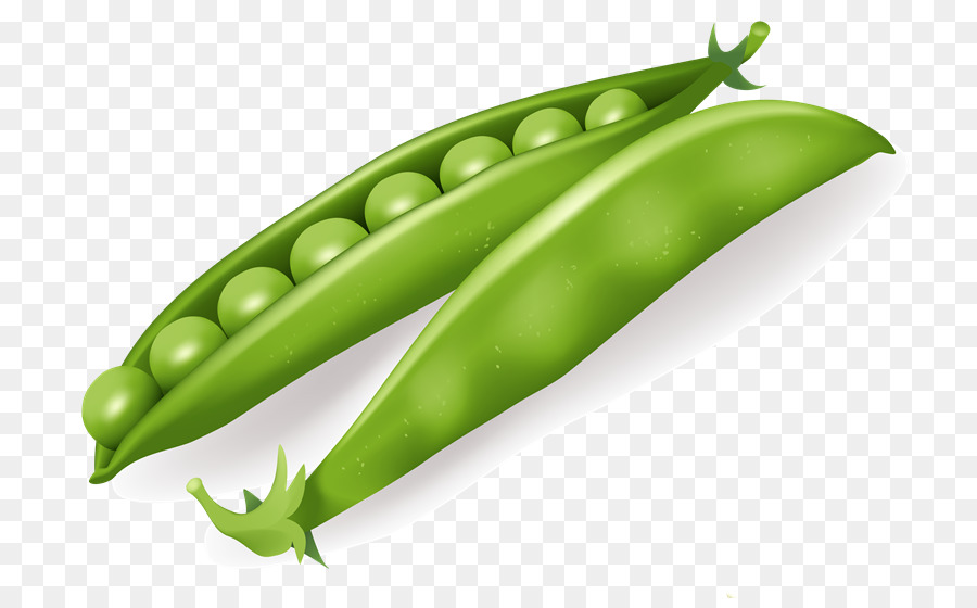 Pois Verts，Gousses PNG