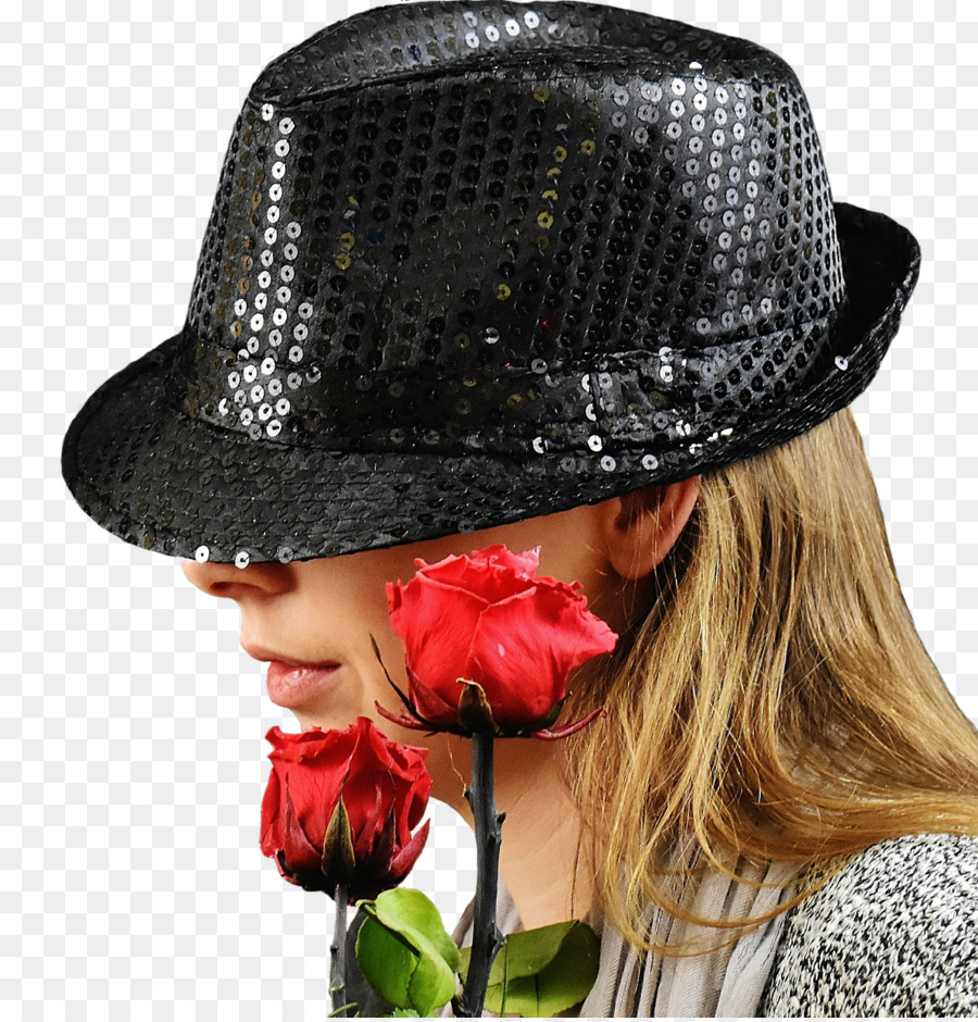 Fedora，Télécharger PNG