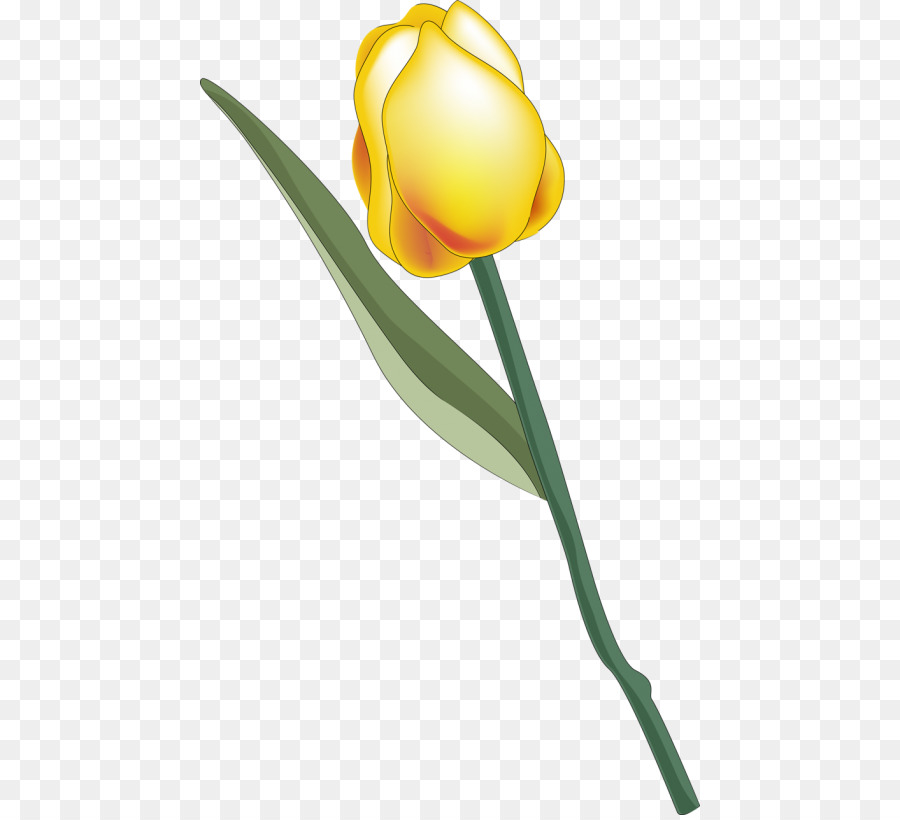 Tulip，Les Fleurs Coupées PNG