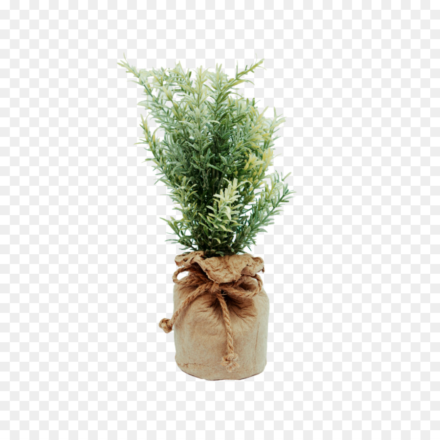 Flowerpot，Plante PNG