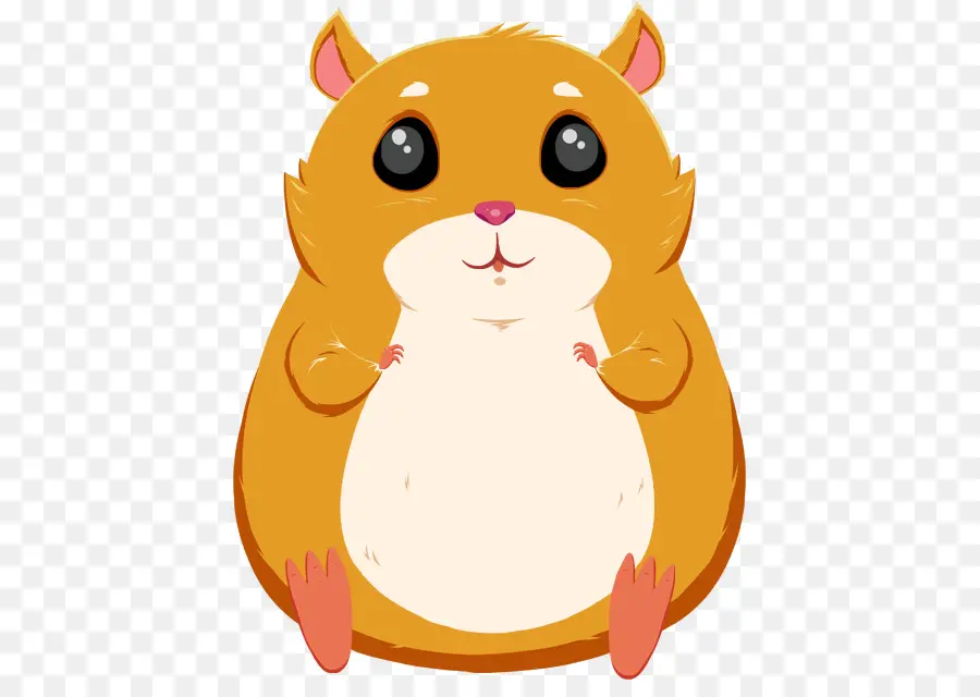 Hamster，Chat PNG