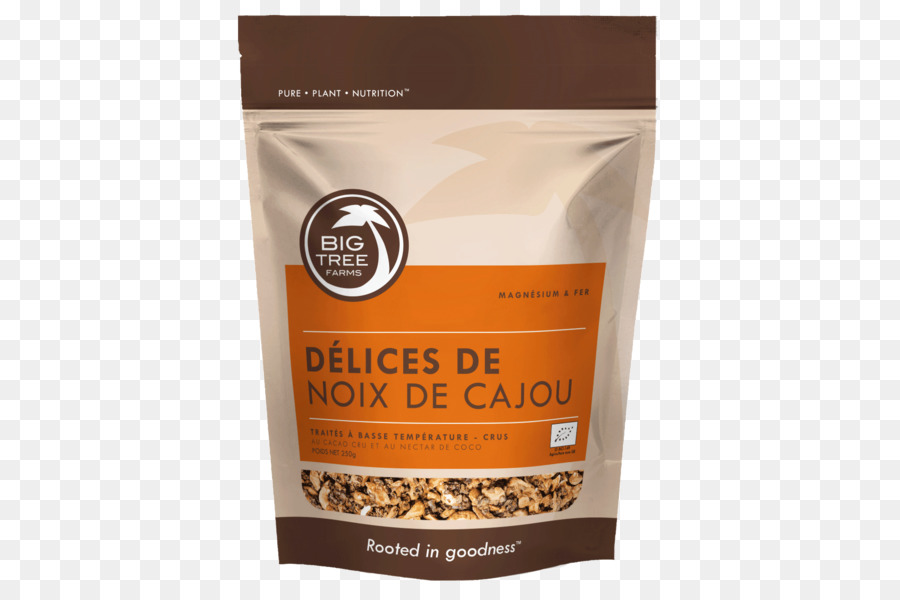 Chocolat Chaud，Fève De Cacao PNG