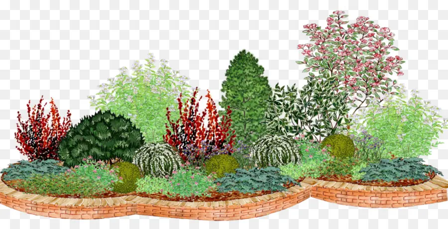 Paysage De Jardin，Plantes PNG