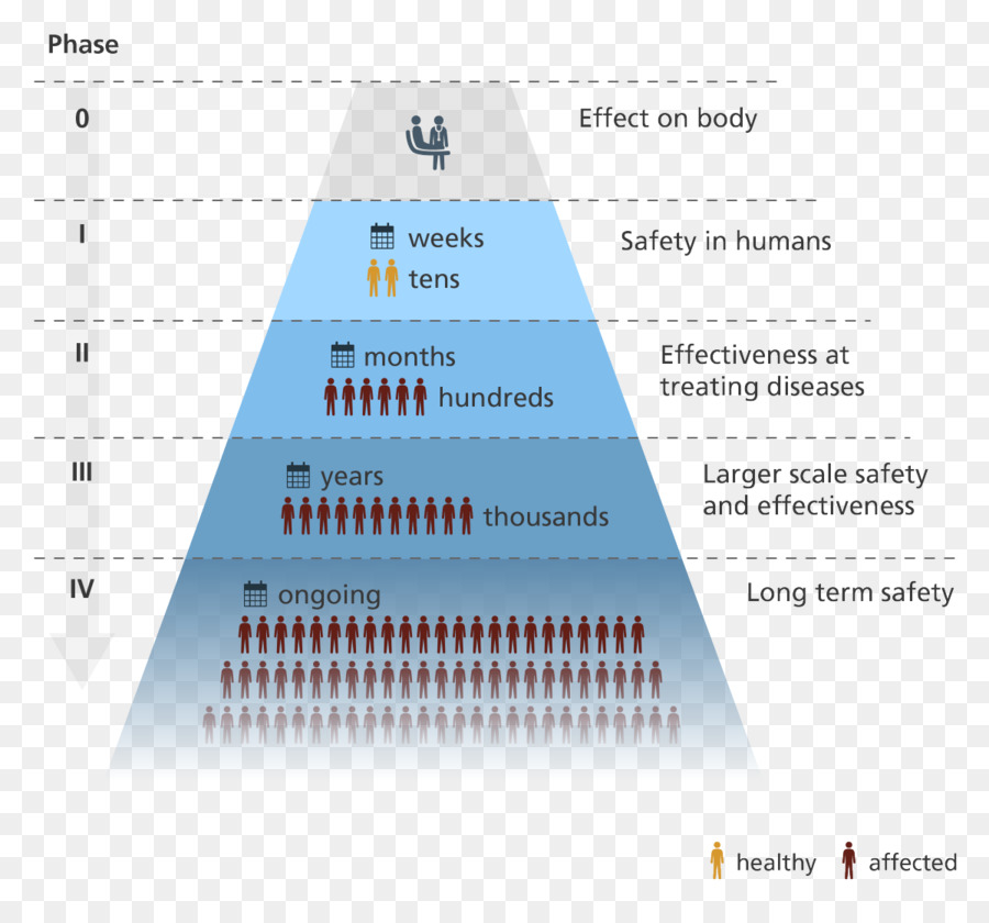 Phases Des Essais Cliniques，Médical PNG