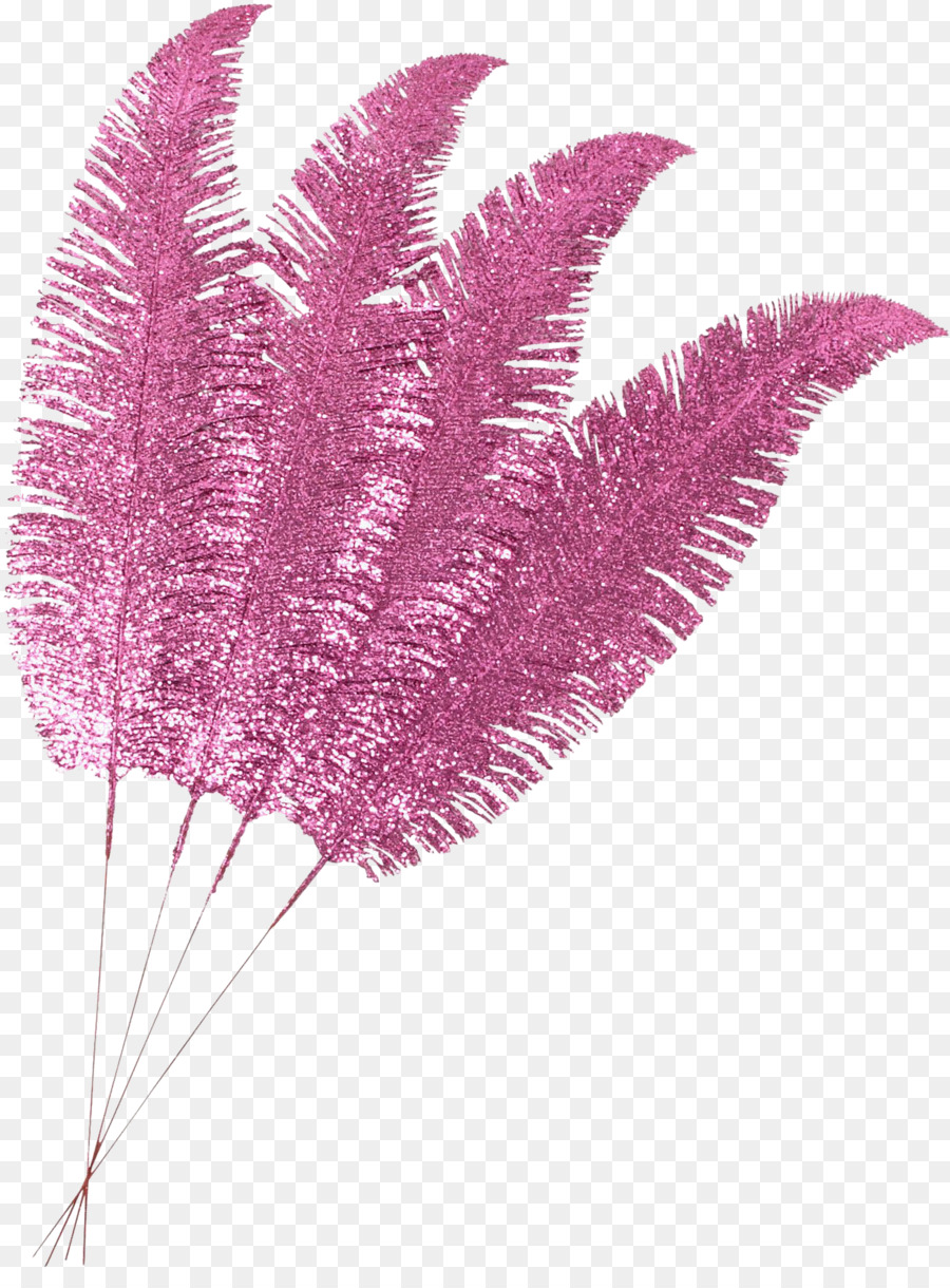 Plume，Rose Plume PNG