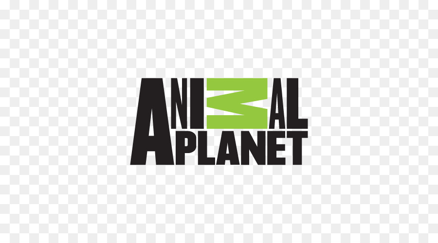 Planète Animale，Chat PNG