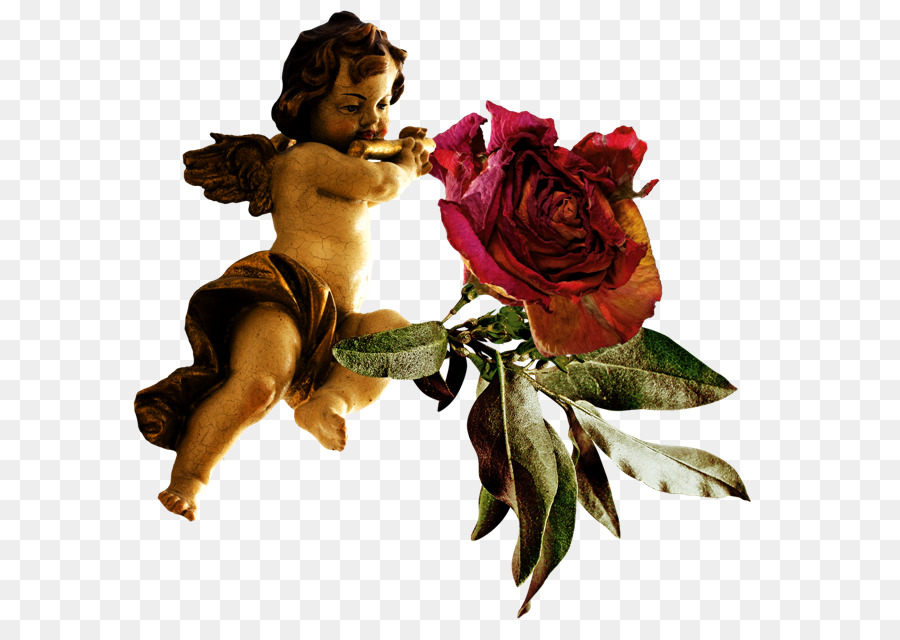 Les Roses De Jardin，Ange PNG