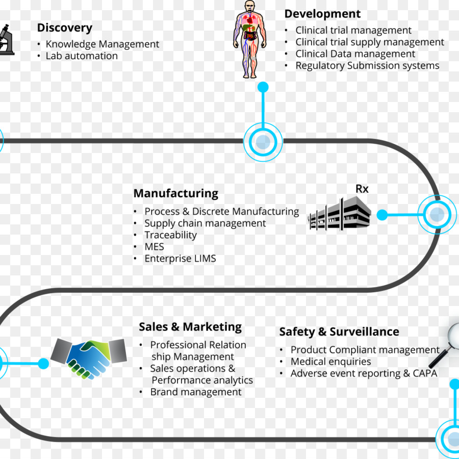 Organigramme Des Processus Métier，Entreprise PNG