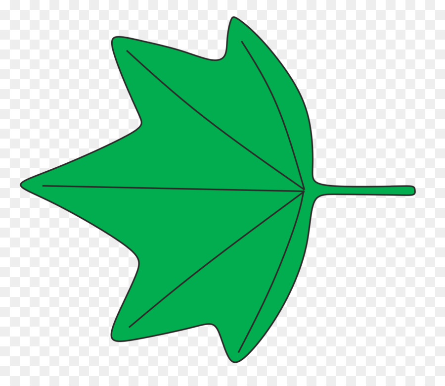 Feuille Verte，Feuille PNG