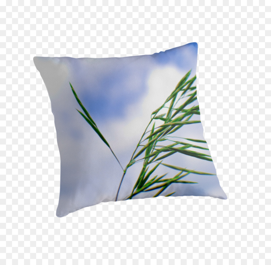 Les Coussins，Coussin PNG