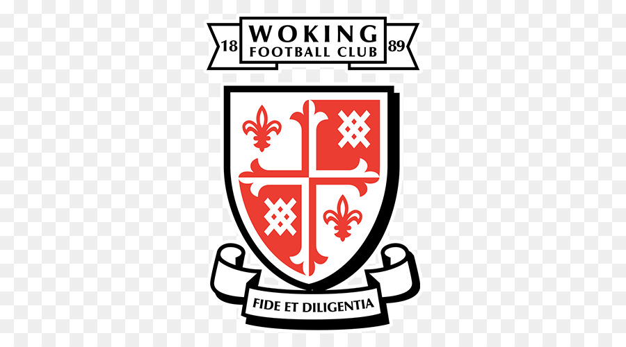 Woking Fc，Kingfield Stade PNG